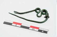 Foto von Bronzeschlangenfibel (NHMW-PRAE-024307)